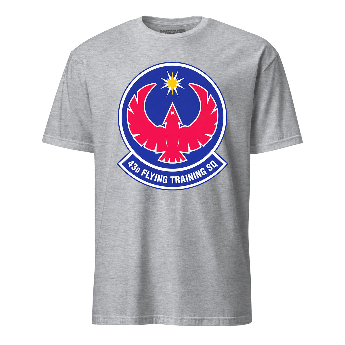 43rd Flying Training Squadron — Heather Grey