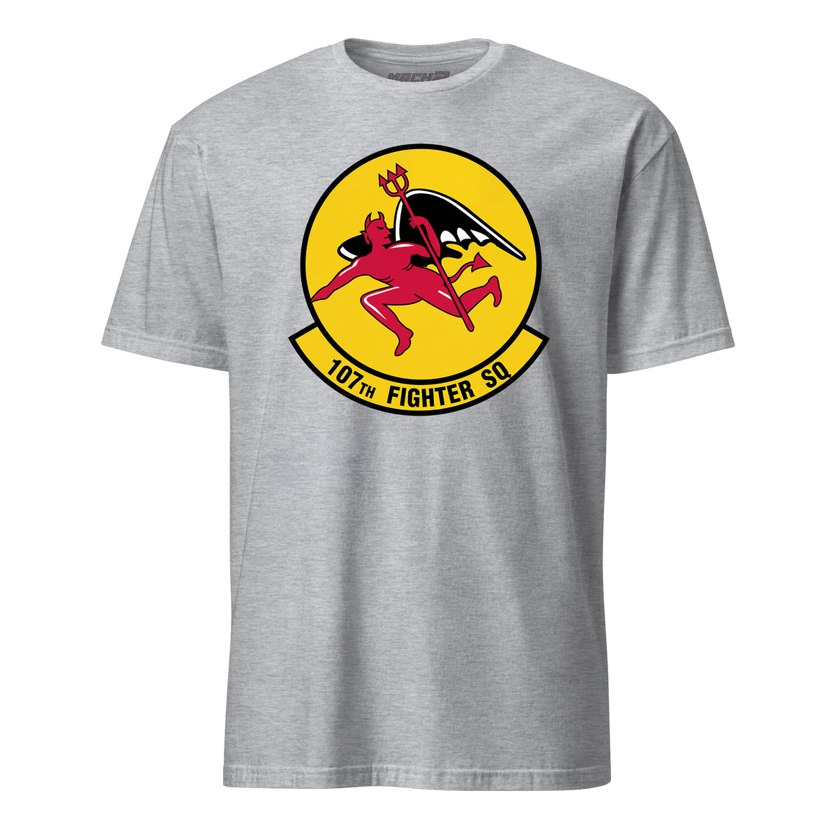 107th Fighter Squadron — Heather Grey
