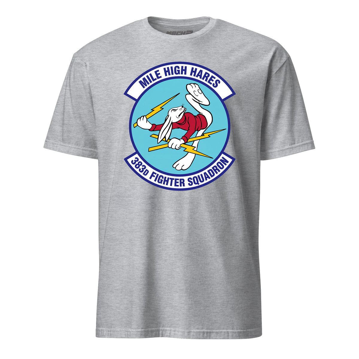 383rd Fighter Squadron — Heather Grey