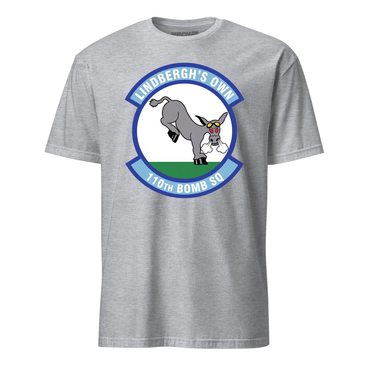 110th Bomb Squadron — Heather Grey