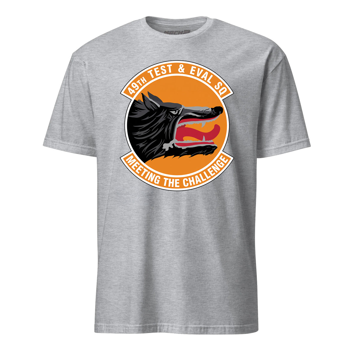 49th Test And Evaluation Squadron — Heather Grey