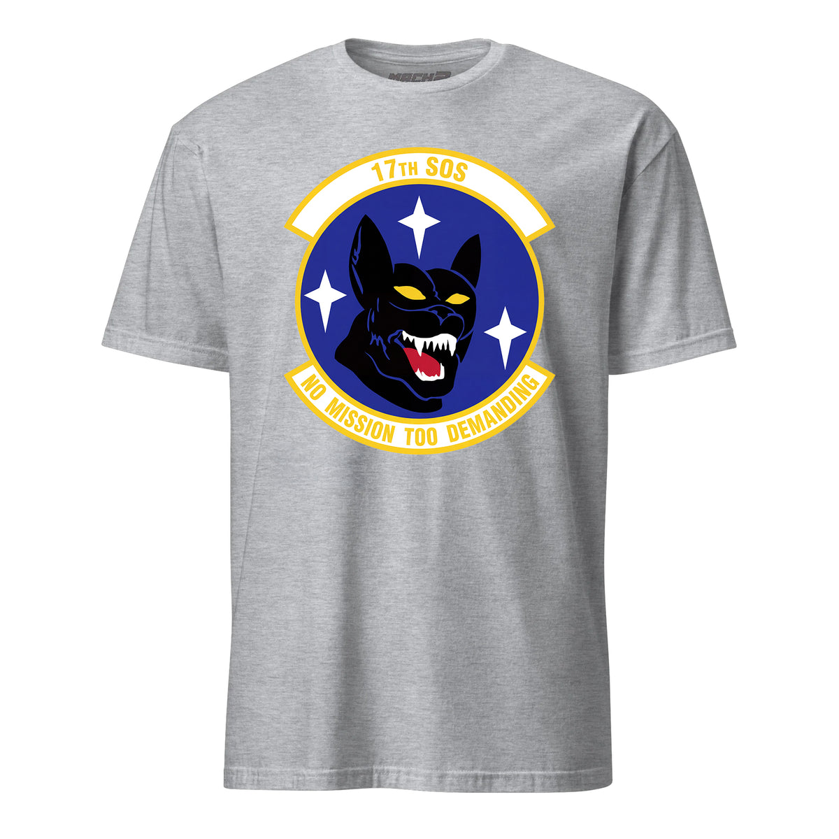 17th Special Operations Squadron — Heather Grey