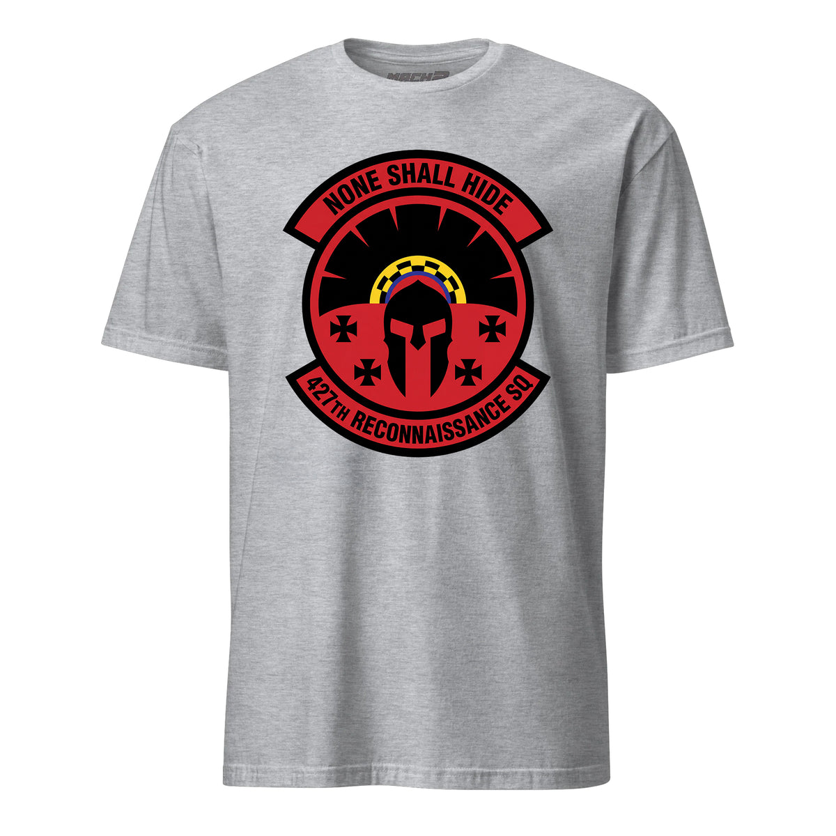 427th Reconnaissance Squadron — Heather Grey