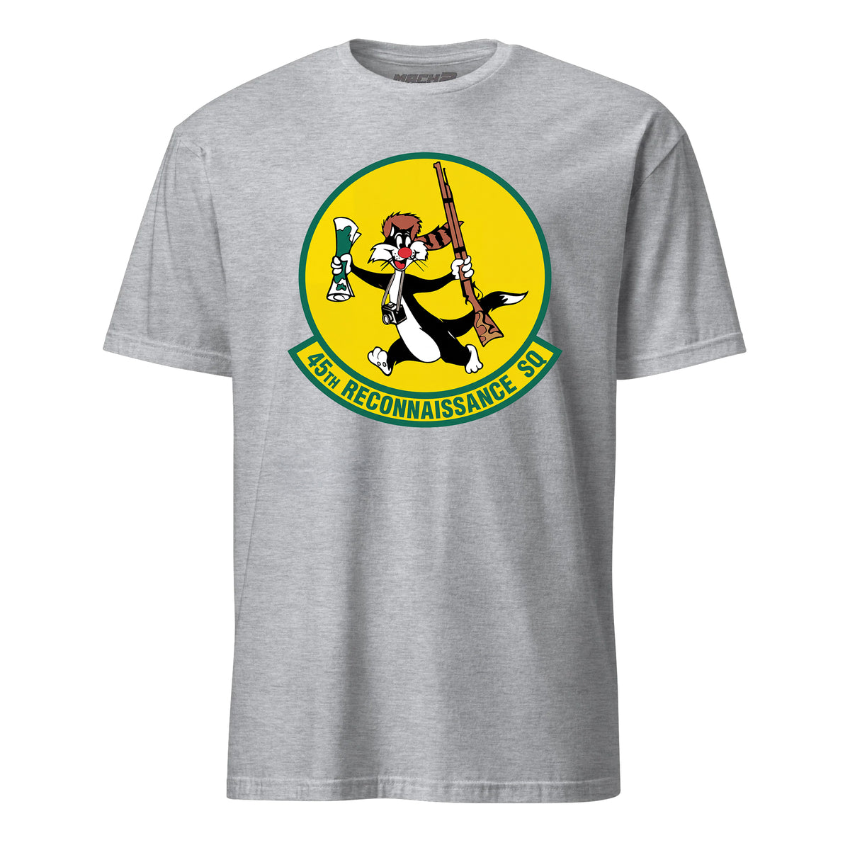 45th Reconnaissance Squadron — Heather Grey