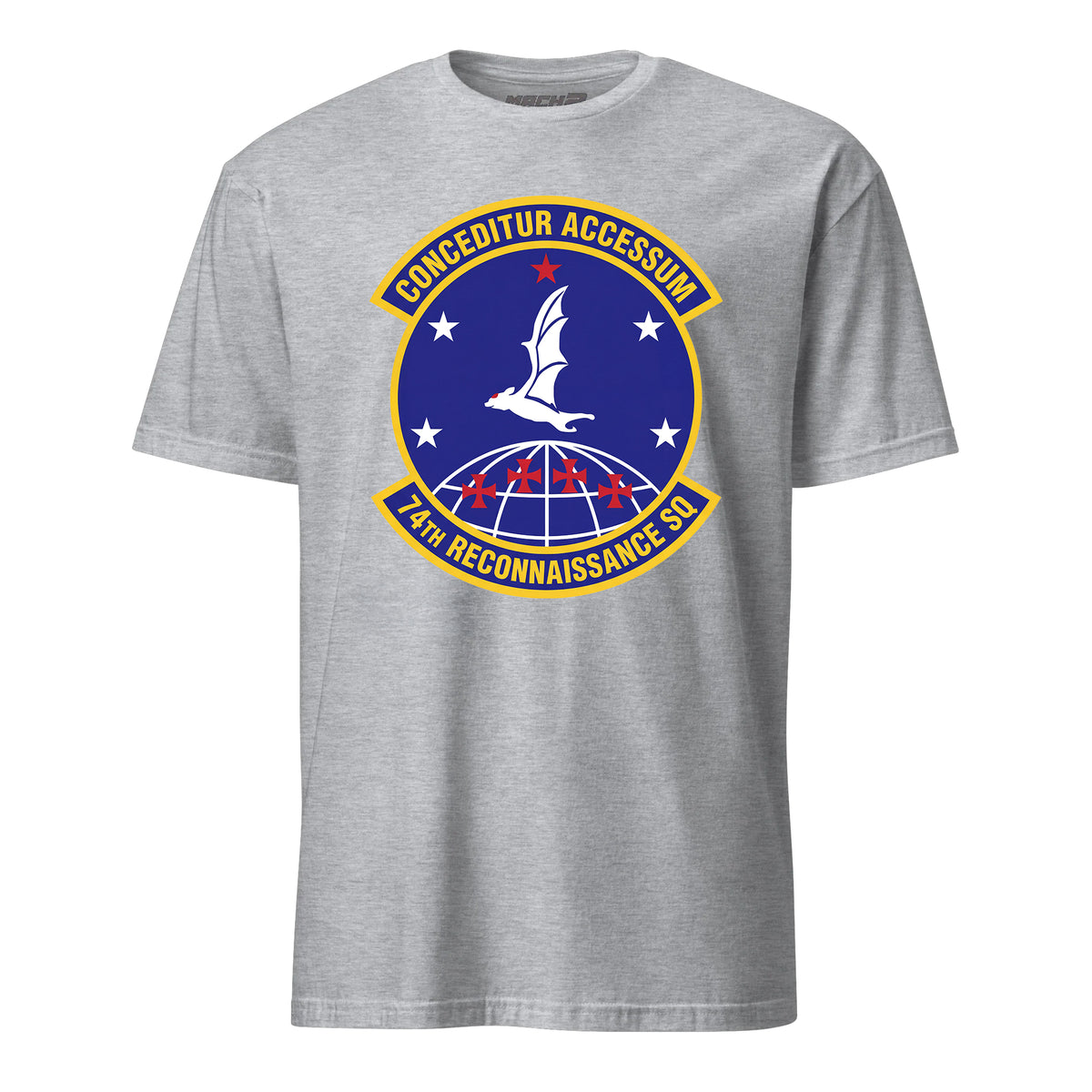 74th Reconnaissance Squadron — Heather Grey