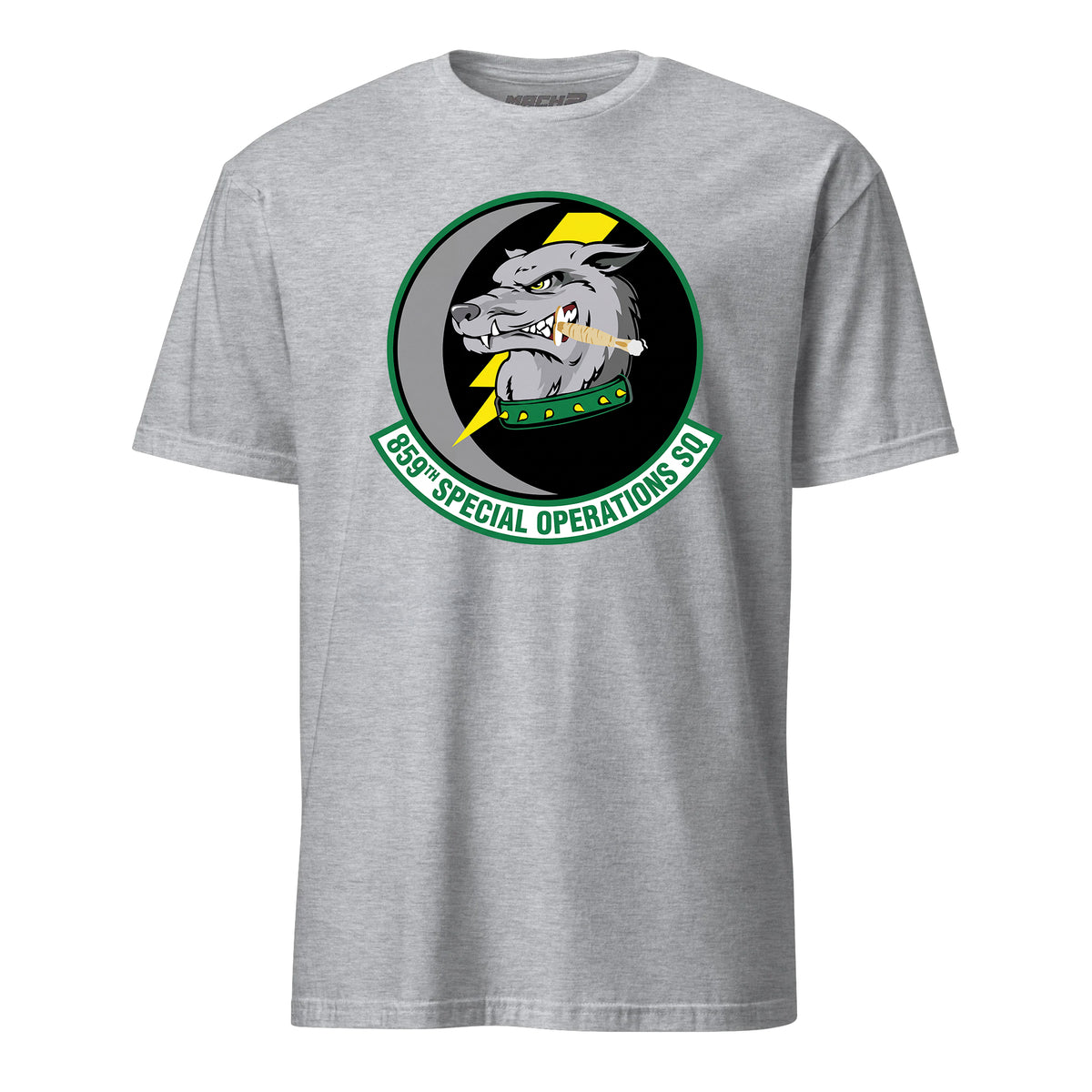 859th Special Operations Squadron — Heather Grey