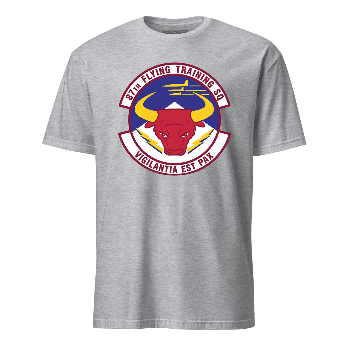 87th Flying Training Squadron — Heather Grey