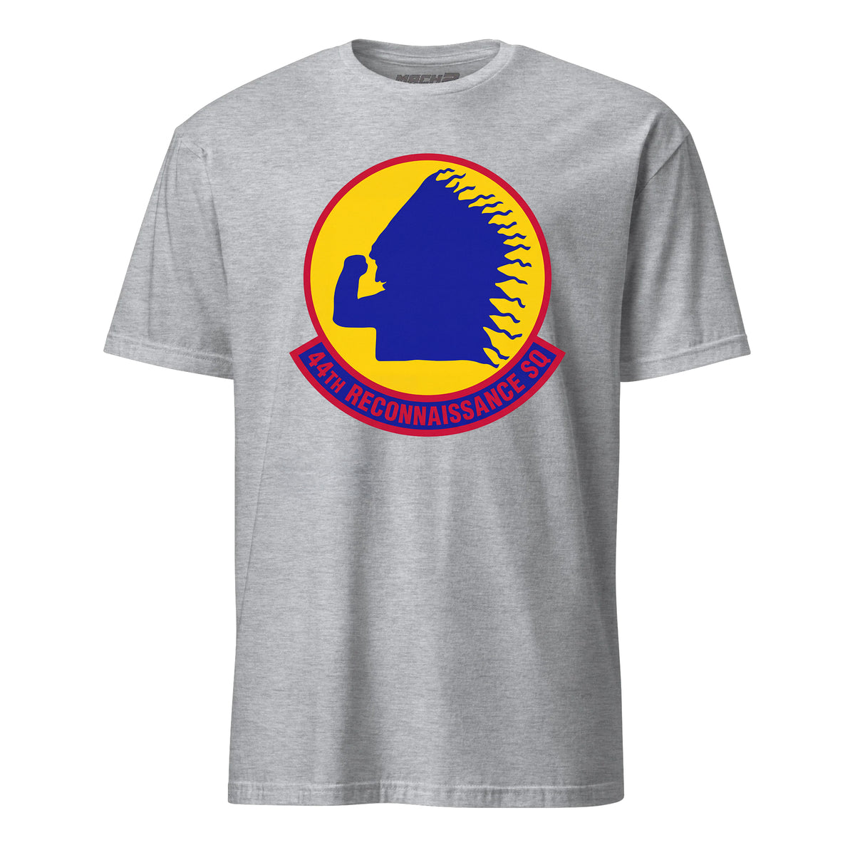 44th Reconnaissance Squadron — Heather Grey