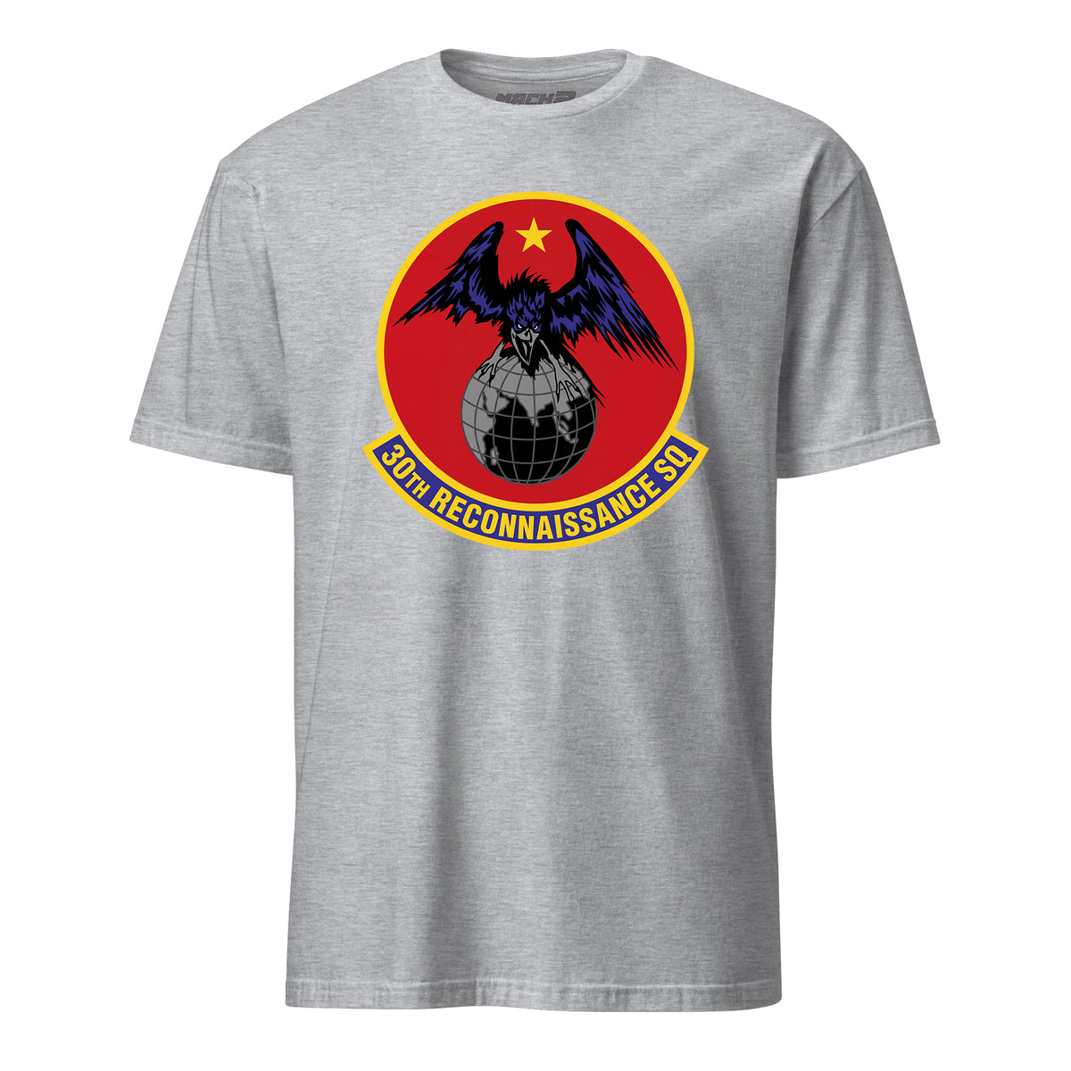 30th Reconnaissance Squadron — Heather Grey