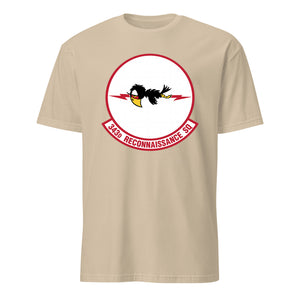 343rd Reconnaissance Squadron — Sand