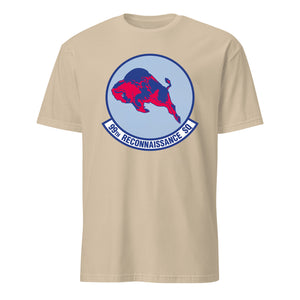 99th Reconnaissance Squadron — Sand