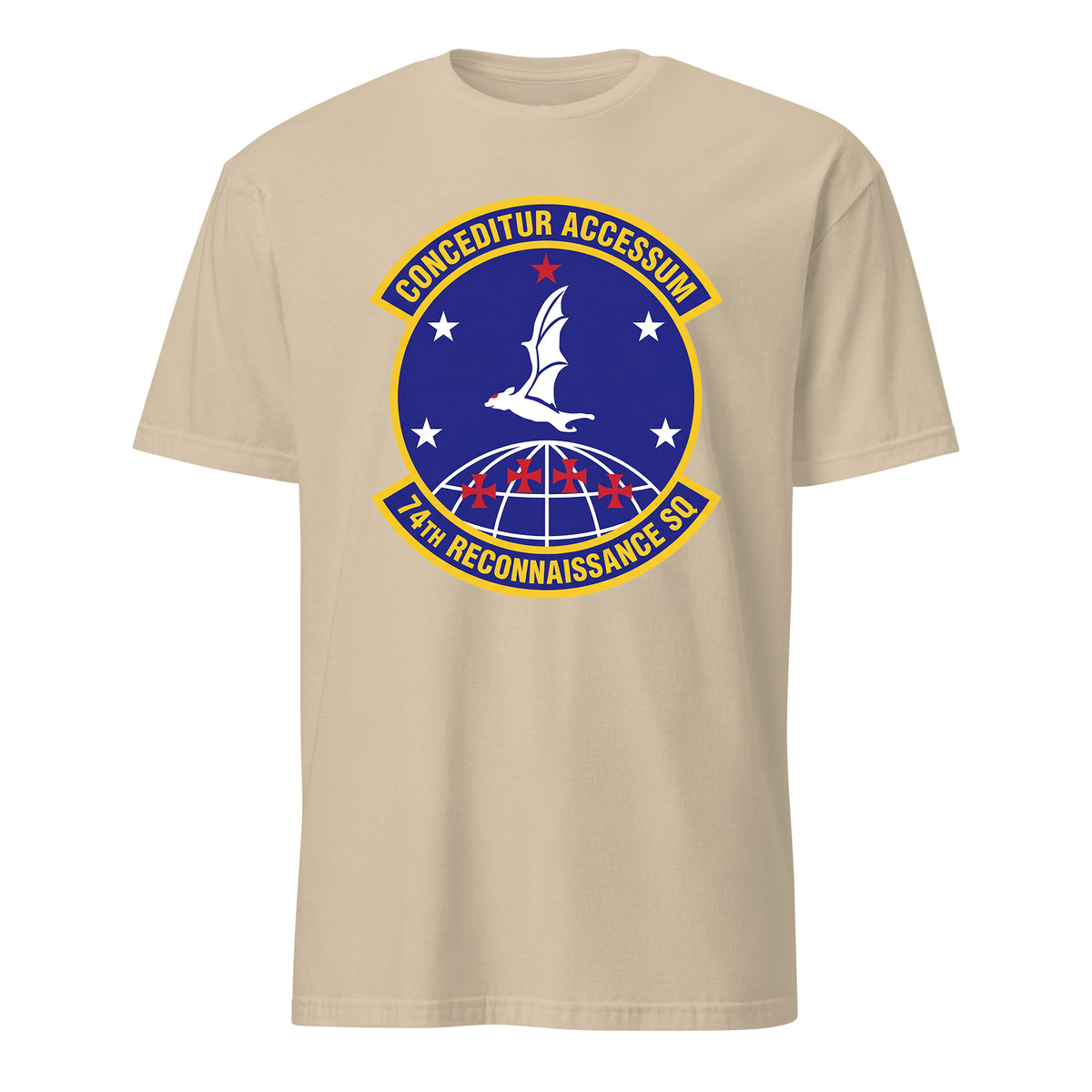74th Reconnaissance Squadron — Sand