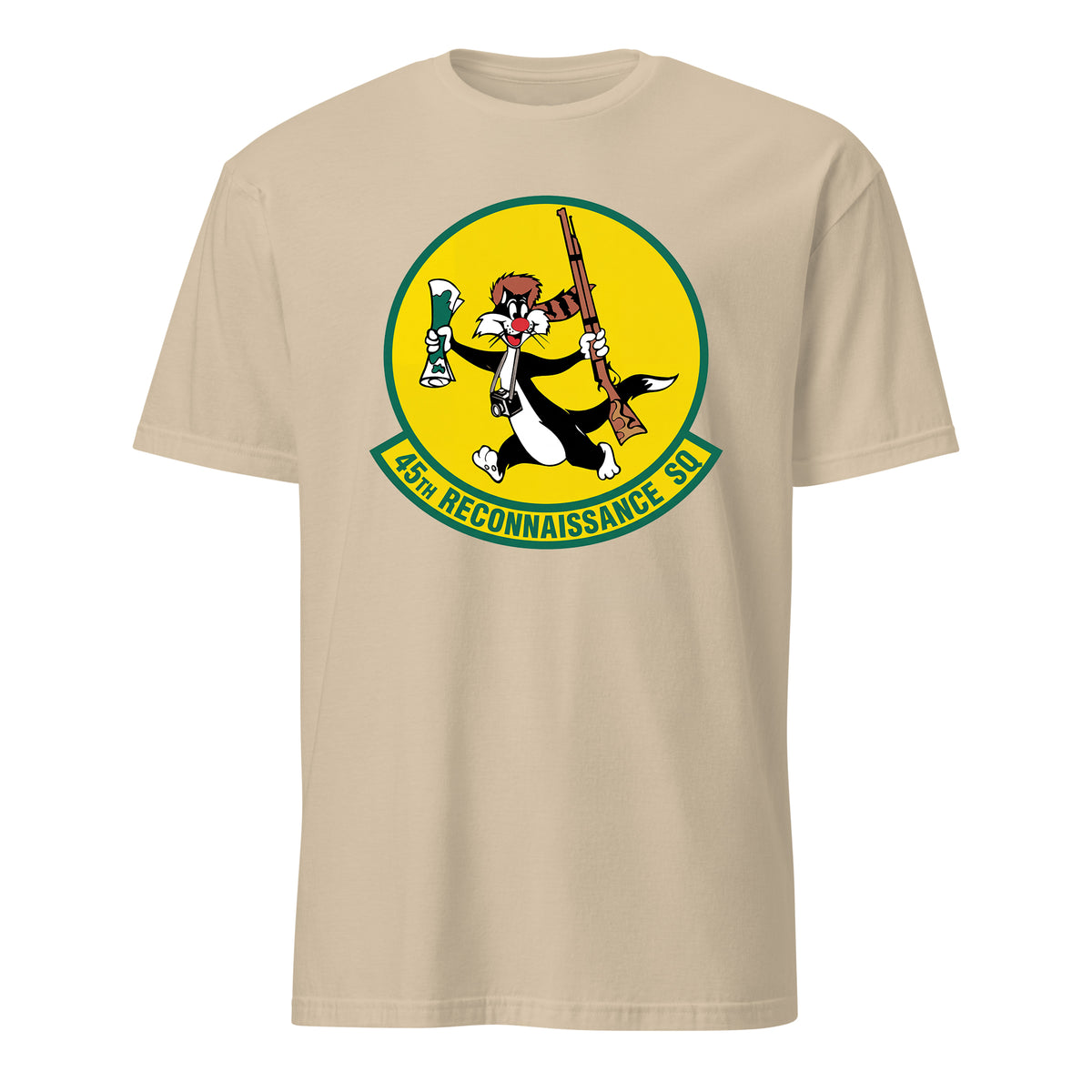45th Reconnaissance Squadron — Sand