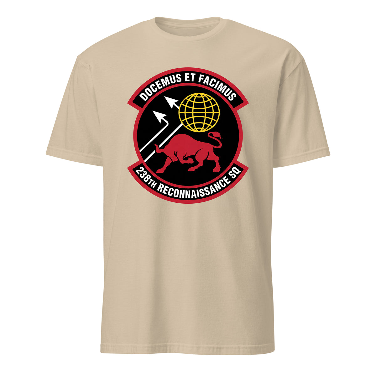 238th Reconnaissance Squadron — Sand