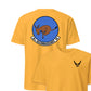 95th Reconnaissance Squadron — Gold