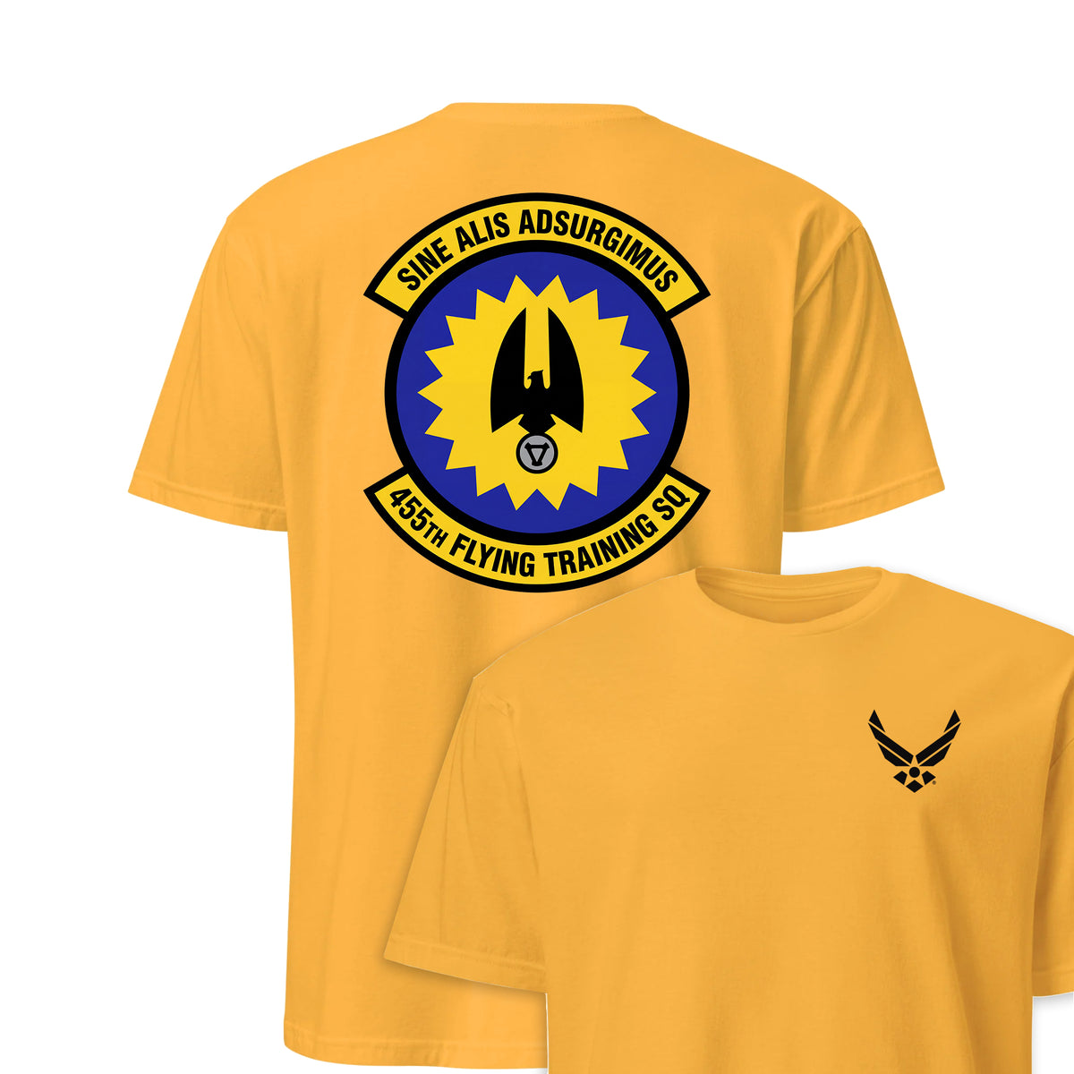 455th Flying Training Squadron — Gold