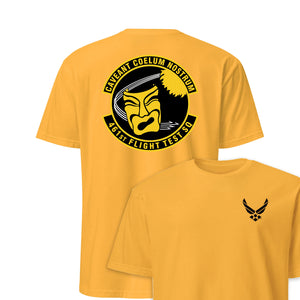 461st Flight Test Squadron — Gold