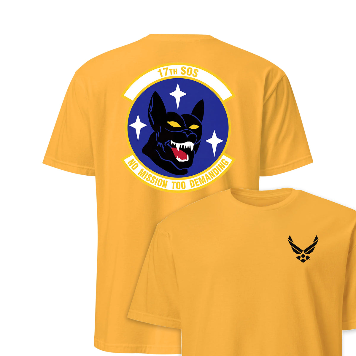 17th Special Operations Squadron — Gold