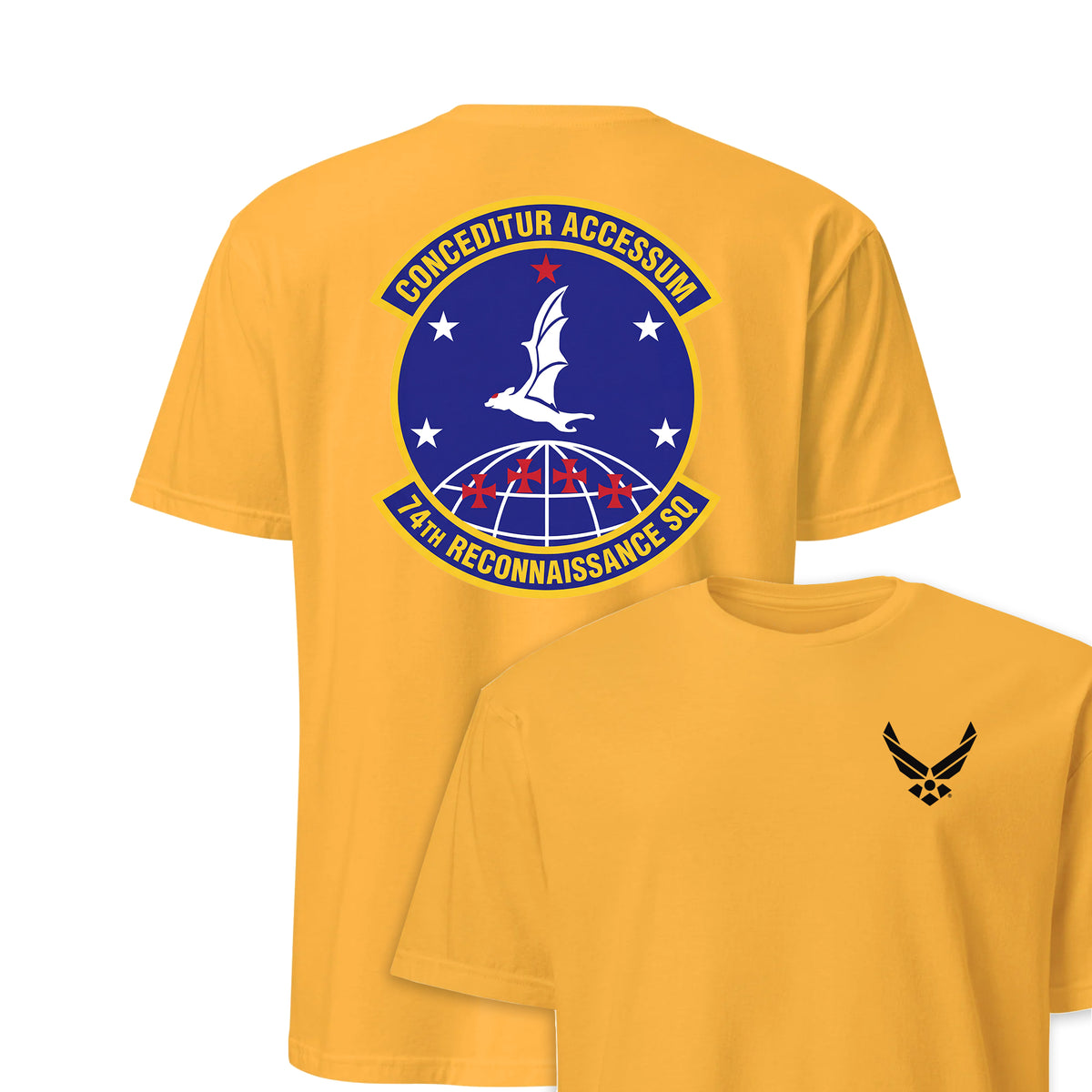 74th Reconnaissance Squadron — Gold
