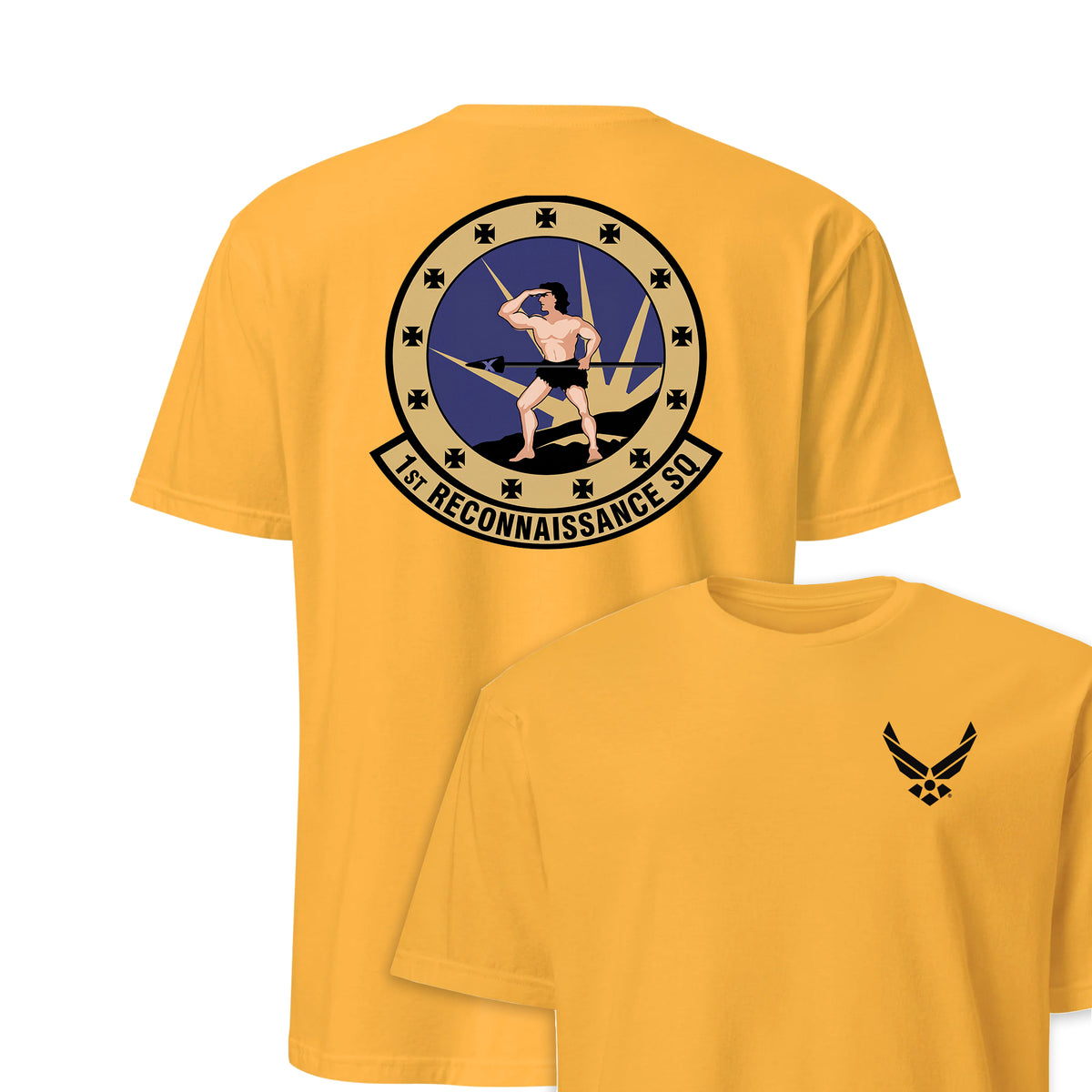 1st Reconnaissance Squadron — Gold
