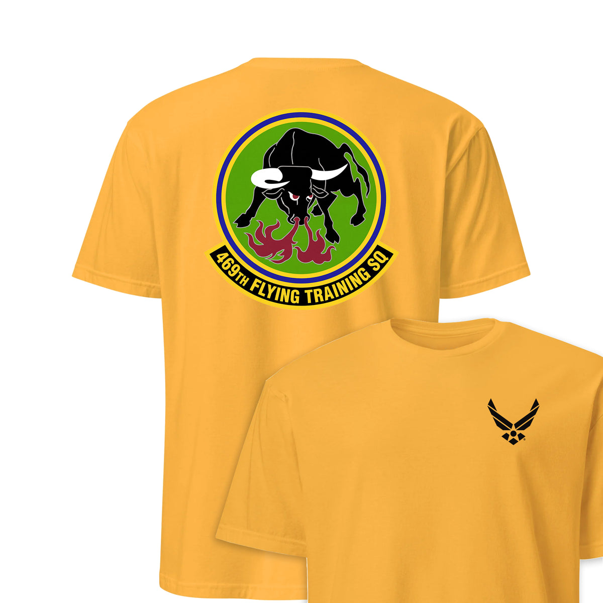 469th Flying Training Squadron — Gold