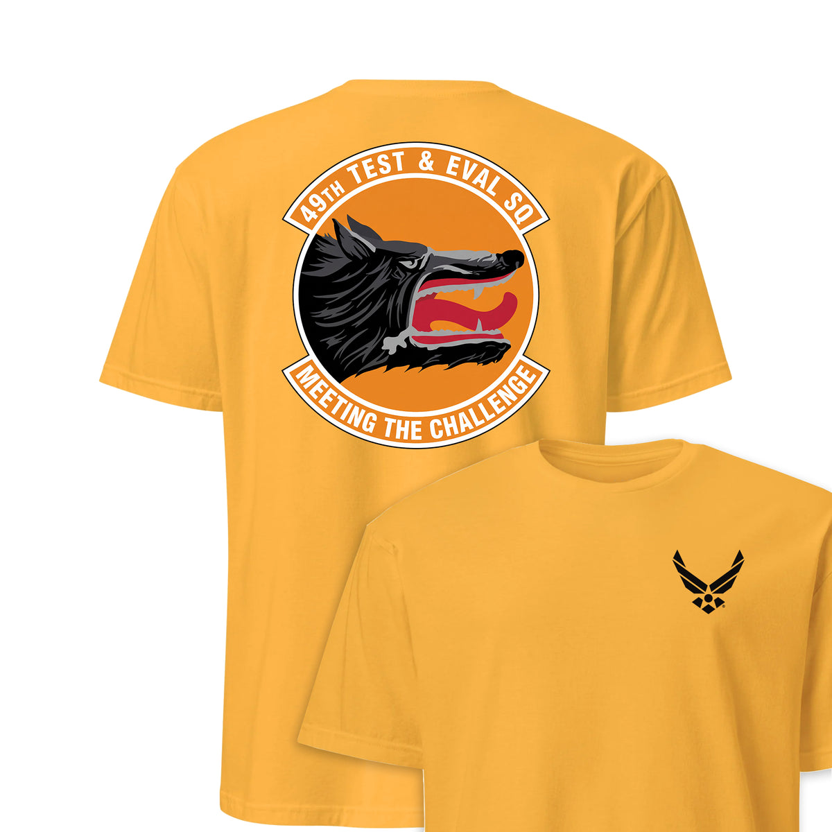 49th Test And Evaluation Squadron — Gold