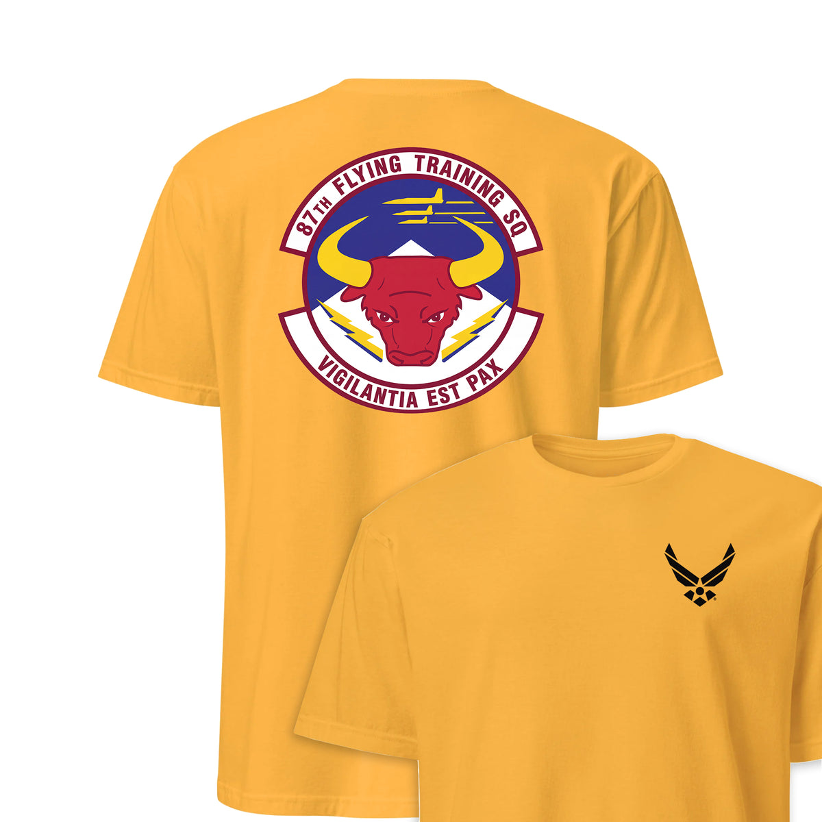 87th Flying Training Squadron — Gold