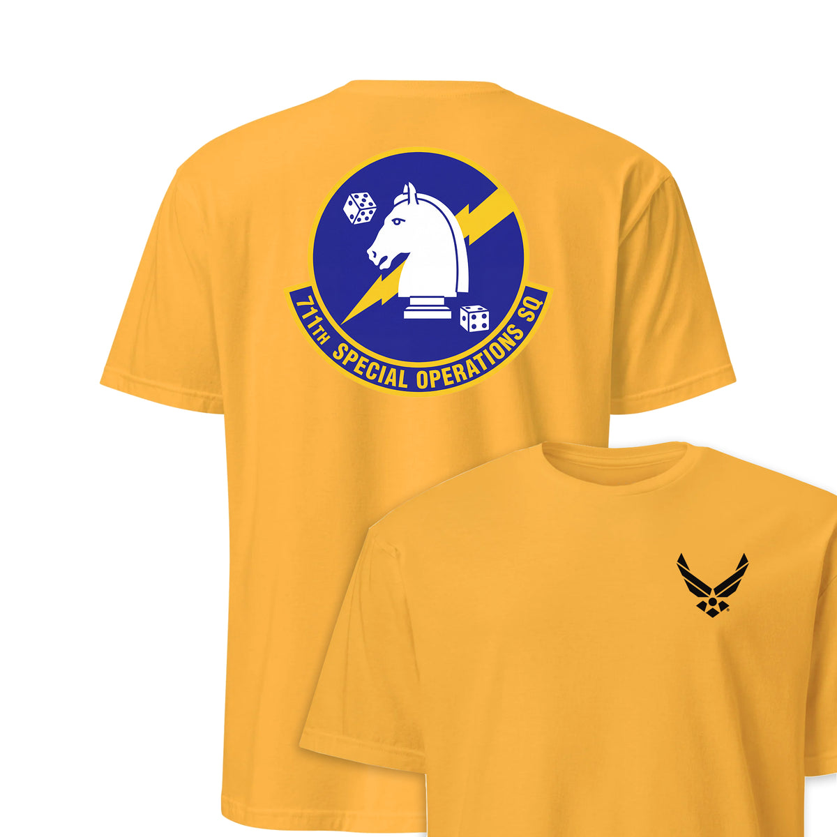 711th Special Operations Squadron — Gold