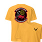 238th Reconnaissance Squadron — Gold
