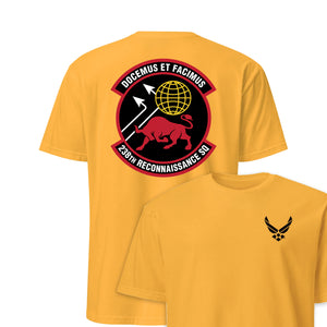 238th Reconnaissance Squadron — Gold