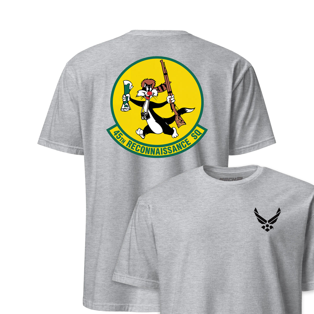45th Reconnaissance Squadron — Heather Grey