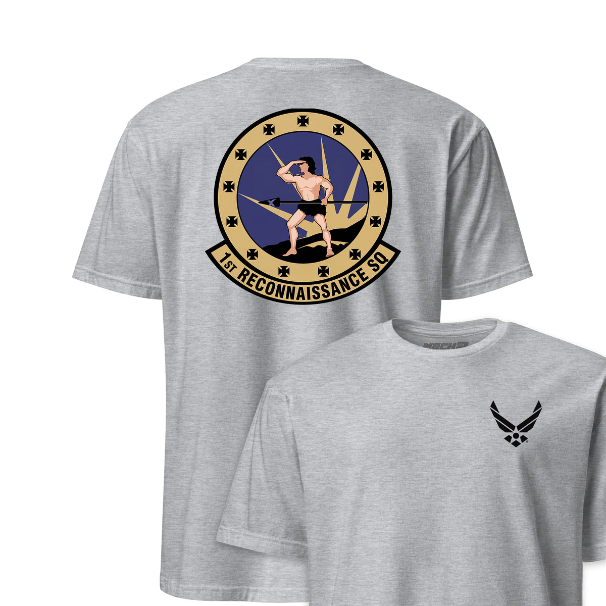 1st Reconnaissance Squadron — Heather Grey