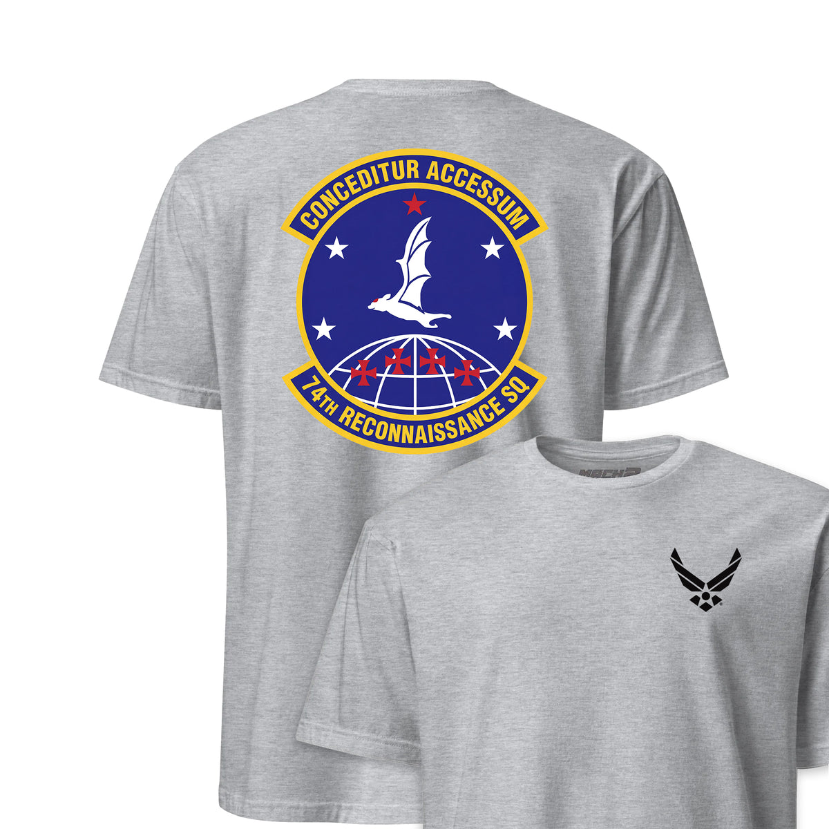 74th Reconnaissance Squadron — Heather Grey