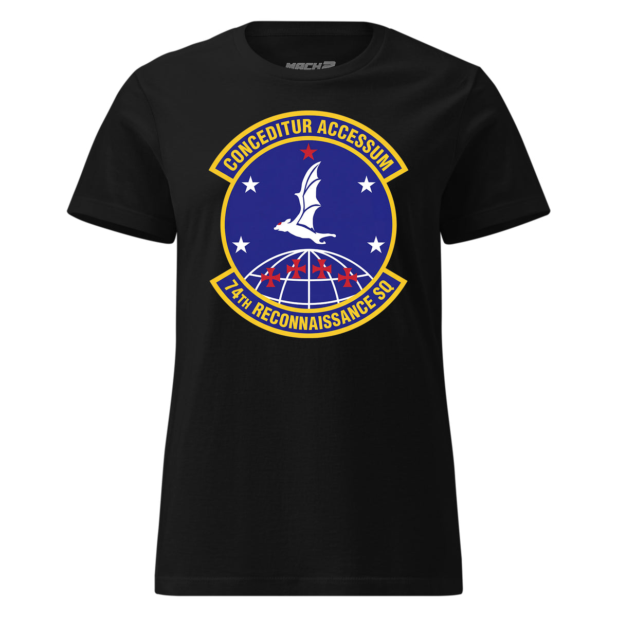 74th Reconnaissance Squadron — Black