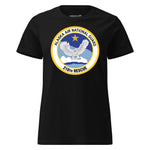 210th Rescue Squadron — Black