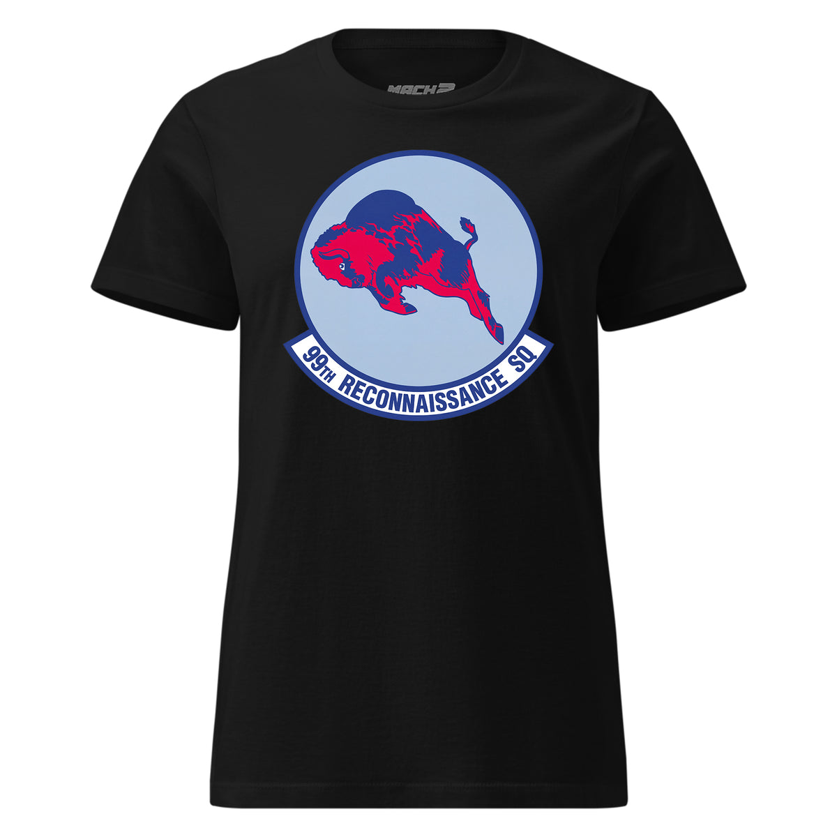 99th Reconnaissance Squadron — Black