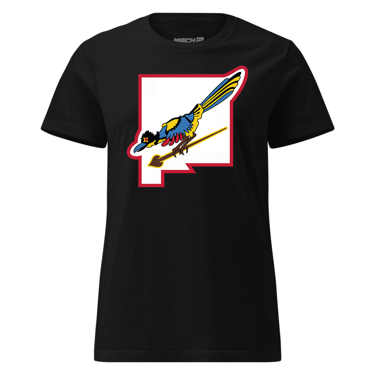 188th Rescue Squadron — Black