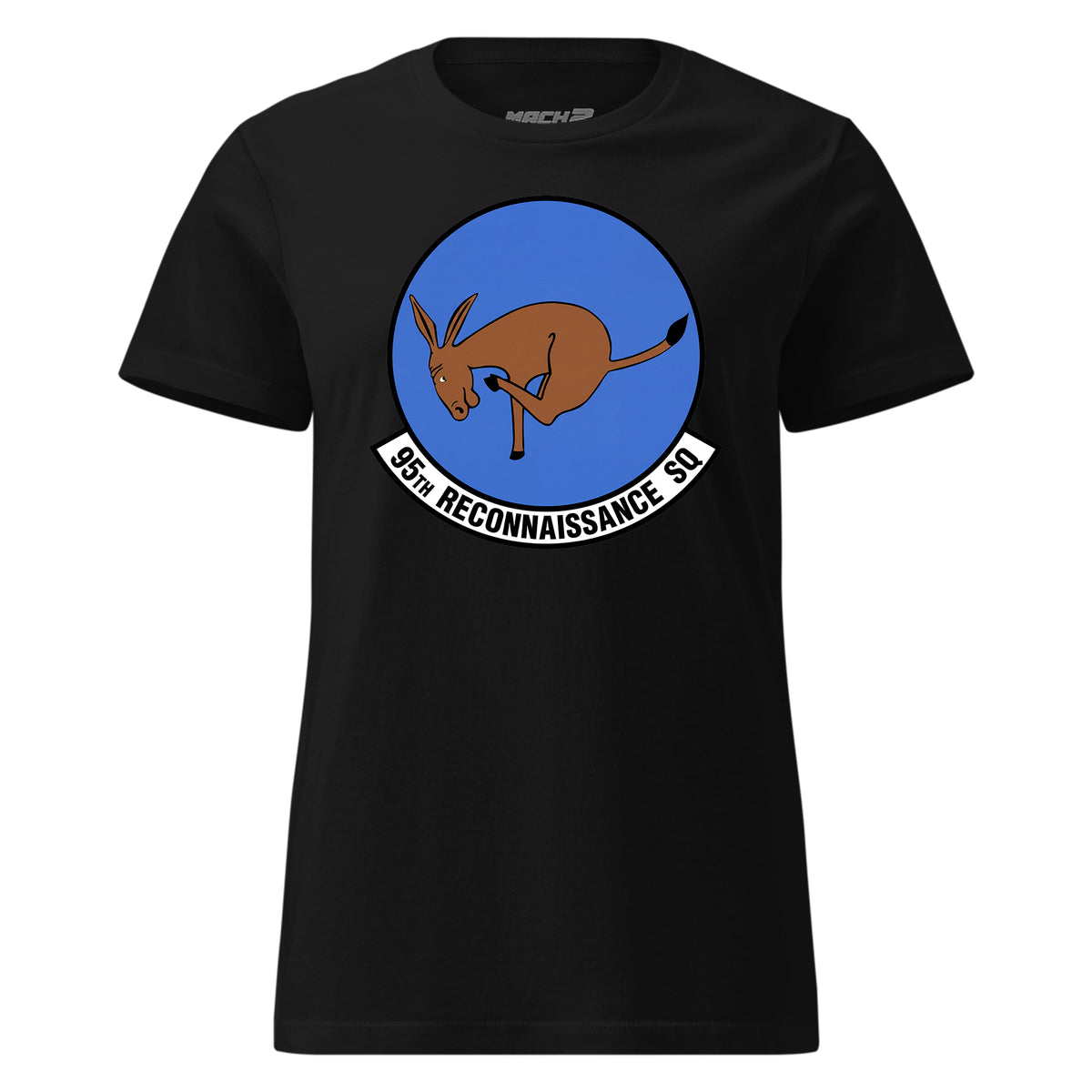 95th Reconnaissance Squadron — Black