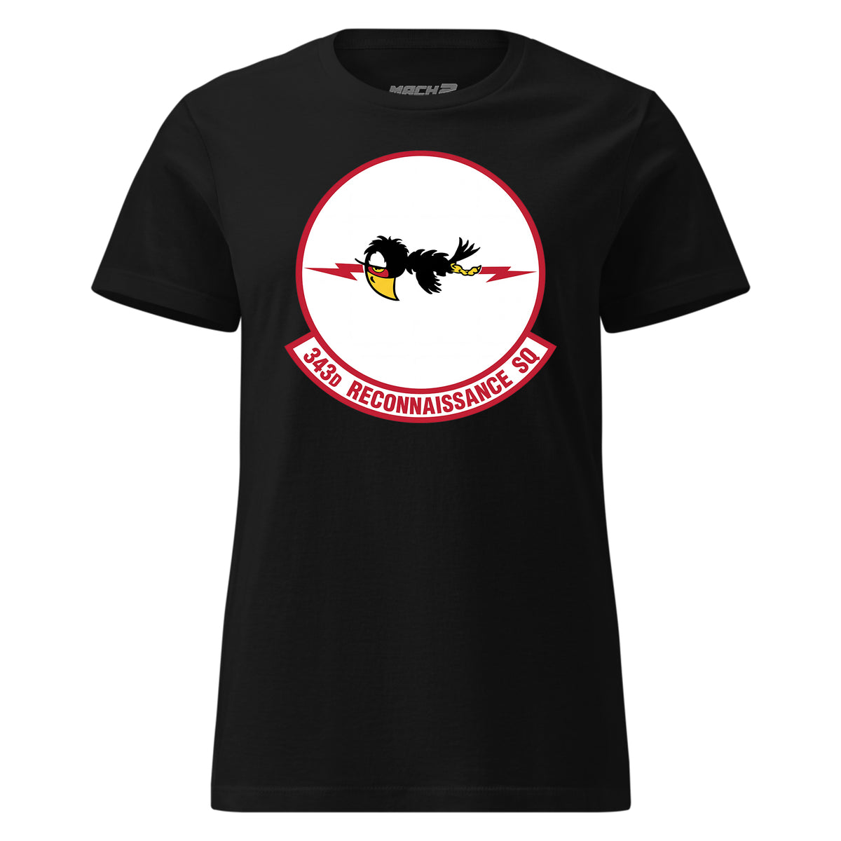 343rd Reconnaissance Squadron — Black