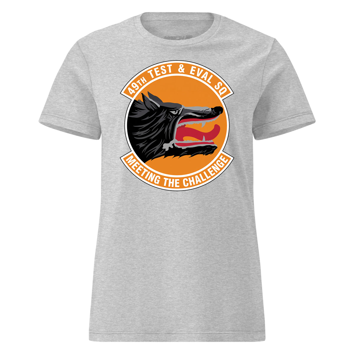 49th Test And Evaluation Squadron — Heather Grey