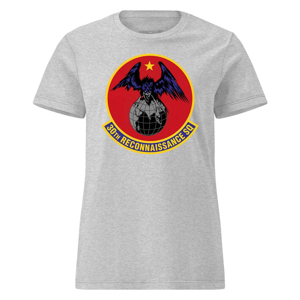 30th Reconnaissance Squadron — Heather Grey