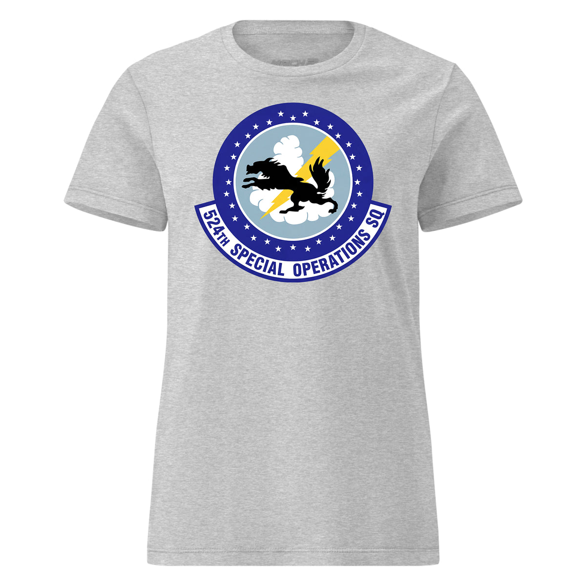 524th Special Operations Squadron — Heather Grey