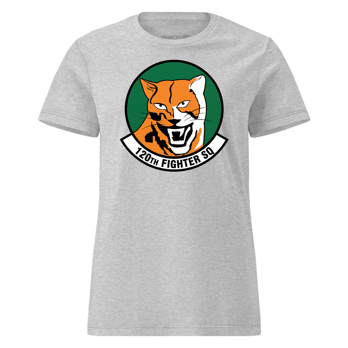 120th Fighter Squadron — Heather Grey