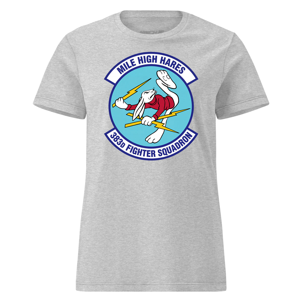 383rd Fighter Squadron — Heather Grey