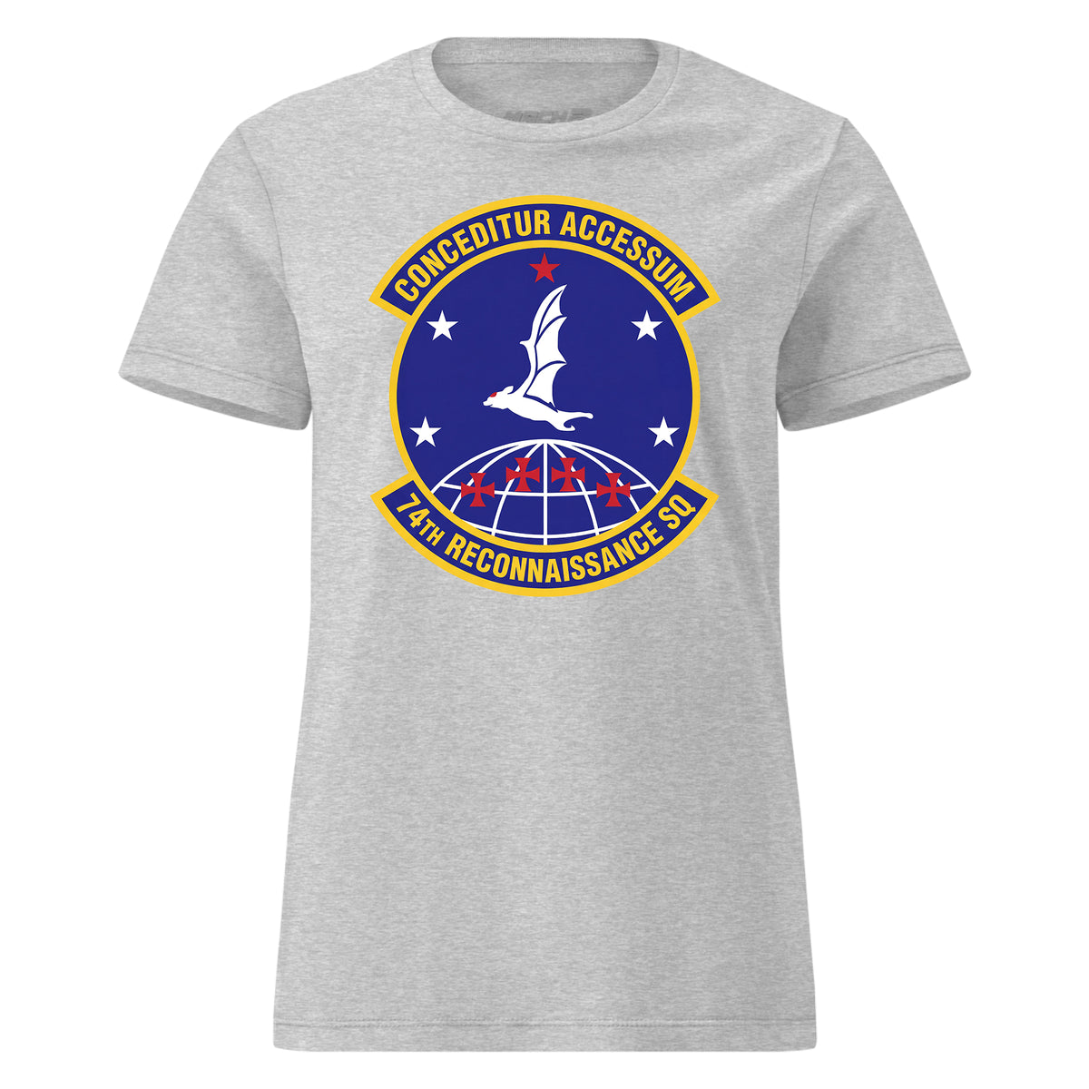 74th Reconnaissance Squadron — Heather Grey