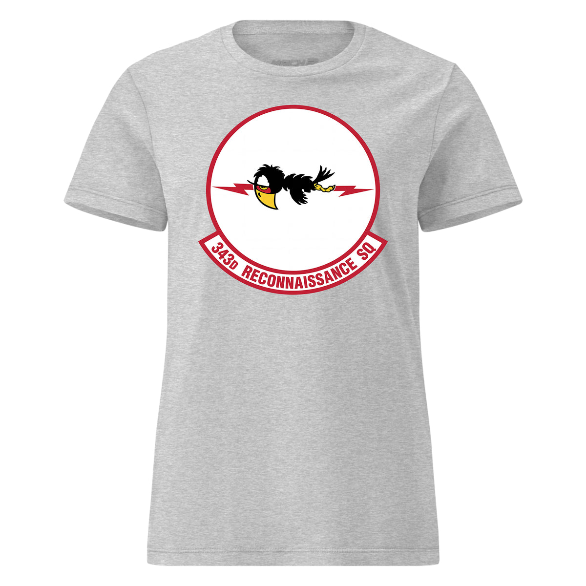 343rd Reconnaissance Squadron — Heather Grey