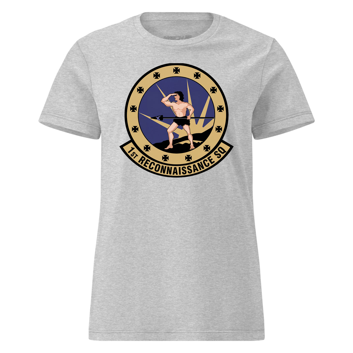 1st Reconnaissance Squadron — Heather Grey