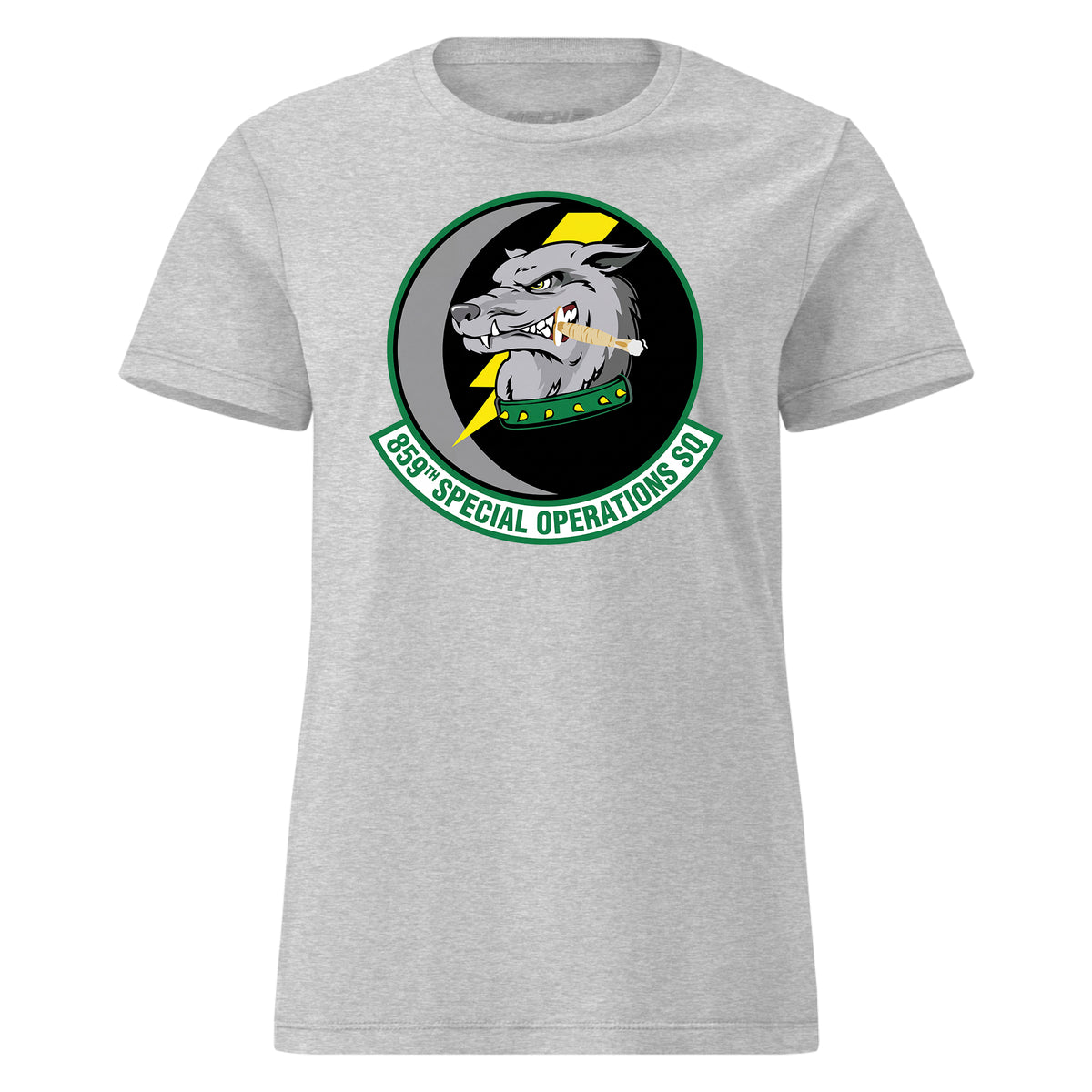 859th Special Operations Squadron — Heather Grey