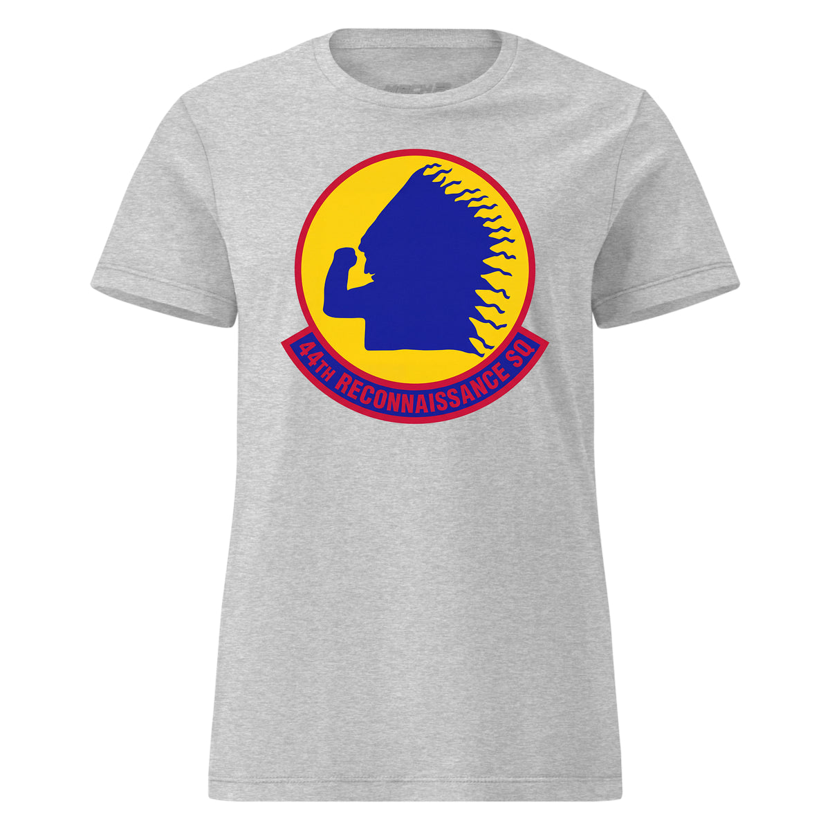 44th Reconnaissance Squadron — Heather Grey