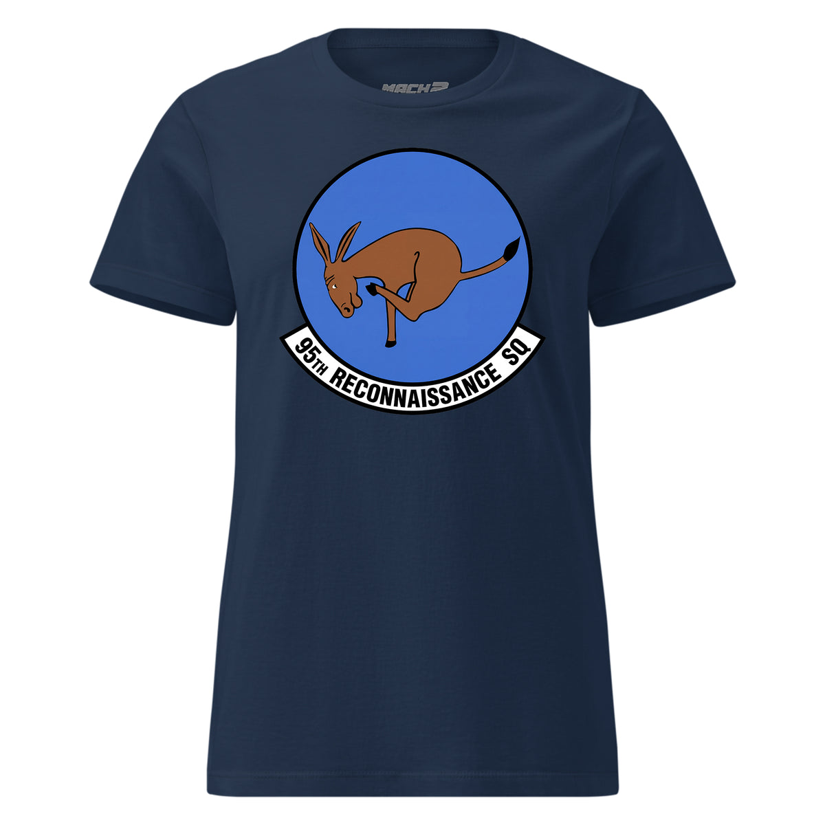 95th Reconnaissance Squadron — Navy
